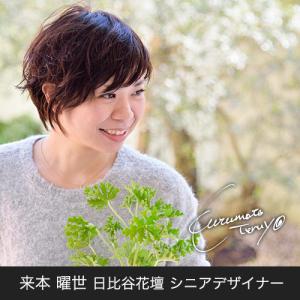 日比谷花壇公式 花鉢 ギフト 胡蝶蘭「日比谷花...の詳細画像1