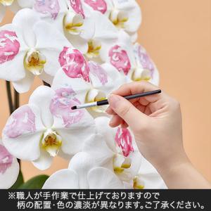 日比谷花壇公式 花鉢 ギフト 胡蝶蘭「日比谷花...の詳細画像4