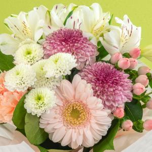 日比谷花壇公式 お供え 花 【ペットのお供え用...の詳細画像3
