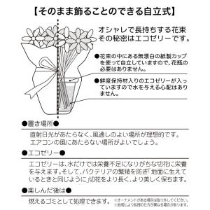 日比谷花壇公式 誕生日 花 KONA BEER...の詳細画像5