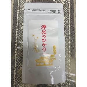 サメミロン 100粒 活性スクアレン 健康補助食品 日誠マリン 箱なし
