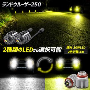 [予約] ランドクルーザー 250 純正フォグランプ 交換用 LED バルブ 2タイプ [ホワイト/イエロー] [2色切替] L1B フォグ トヨタ TOYOTA [7]｜hid-led-carpartsshop