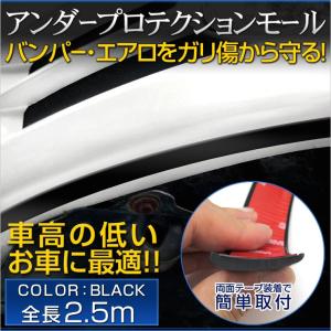 アンダープロテクションモール 全長2.5m バンパー エアロ 傷防止 汎用品｜カー用品 カスタムパーツ ユアーズ