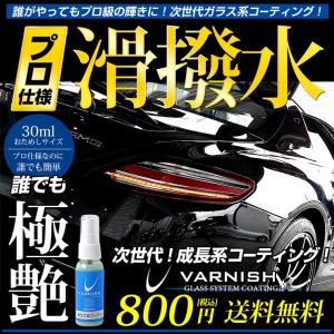 トライアルセット ガラス系コーティング剤 1回分 おためし 車 成長系 コーティング バーニッシュ 持続6カ月 超光沢＆超撥水