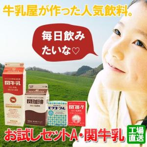 関牛乳お試しセットA（関牛乳・関珈琲・関フルーツ・ビタヨーグル）（）日付指定不可商品