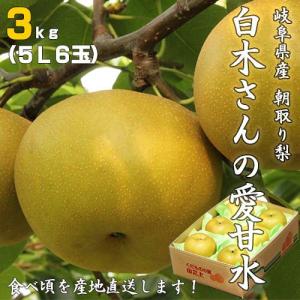 朝採り梨の詰合せ「愛甘水３kg （５L/６玉）」（送料無料）｜hida-mino-furusato