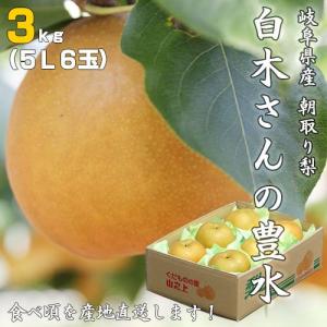 朝採り梨の詰合せ「豊水３kg （５L/６玉）」（送料無料）｜hida-mino-furusato