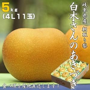 朝採り梨の詰合せ「あきづき５kg （４L/11玉）」（送料無料）｜hida-mino-furusato