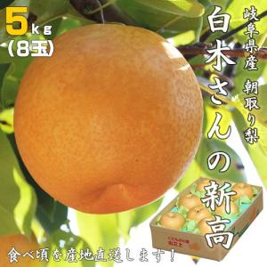 朝採り梨の詰合せ「新高５kg （８玉）」（送料無料）｜hida-mino-furusato