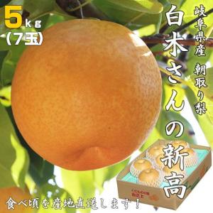 朝採り梨の詰合せ「新高５kg （７玉）」（送料無料）｜hida-mino-furusato