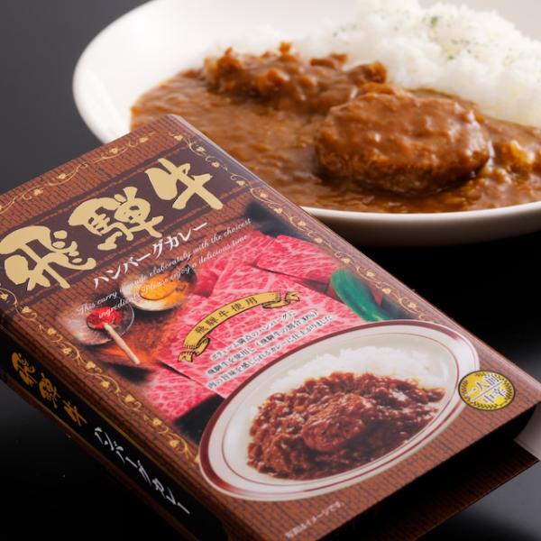 飛騨牛ハンバーグカレー