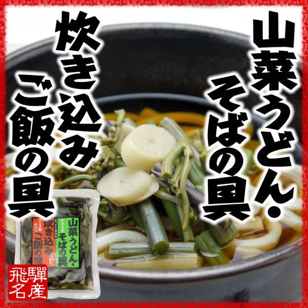 国産　山の珍味 100ｇ 味付　山菜ミックス そば うどん 具 炊き込みご飯