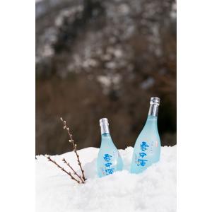 雪中酒 飛騨かわい雪中酒 2本入り ※のし・ギフト包装不可