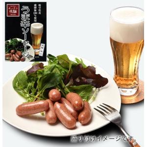 うま辛ソーセージ（レトルト）　60ｇ　飛騨豚100％　ビールのおつまみ　唐辛子の辛み