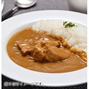 飛騨豚使用 ポークカレー缶 (2〜3人前・43...の詳細画像1
