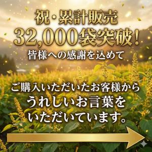 飛騨 えごま パウダー 140g 3パック セットの詳細画像2