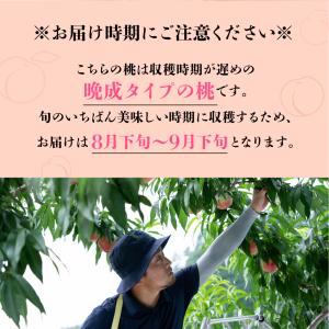桃 糖度13度以上 4-6玉 桃ギフト 品種お...の詳細画像5