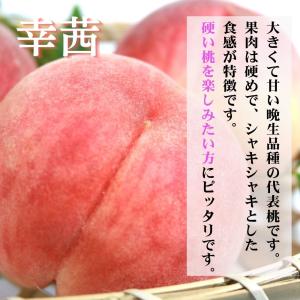 桃 ギフト 幸茜 糖度13度以上 4-6玉 1...の詳細画像1