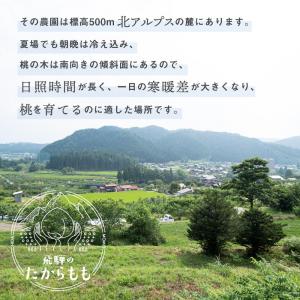 桃 ギフト 幸茜 糖度13度以上 4-6玉 1...の詳細画像2