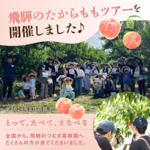 桃 ギフト 幸茜 糖度13度以上 4-6玉 1...の詳細画像5