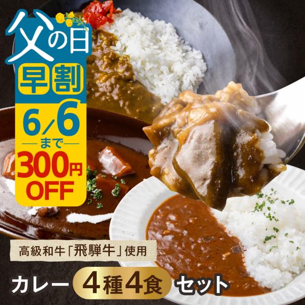 父の日 飛騨牛 ビーフカレー ビーフシチュー 詰め合わせ  4種 4食 ギフト レトルト