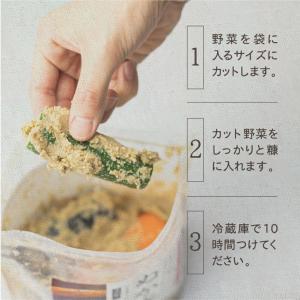 ぬか床 糠床 袋タイプ 1袋 500g 無添加...の詳細画像1
