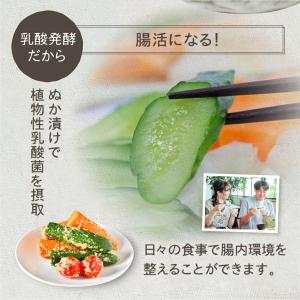 ぬか床 糠床 袋タイプ 1袋 500g 無添加...の詳細画像3