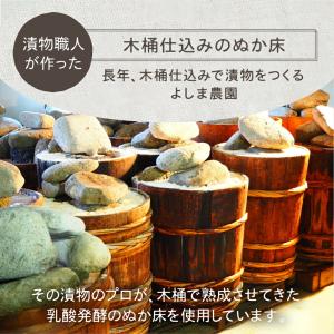 ぬか床 糠床 袋タイプ 1袋 500g 無添加...の詳細画像4