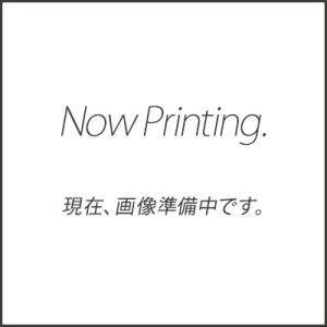 送料無料 業務用高圧洗浄機用 プロ仕様洗管ホース 2分ステンレス スズランノズル 30m 1/4オス...