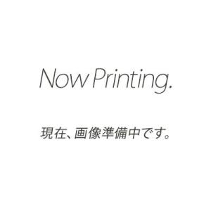 ニルフィスク 業務用 床洗浄機用 パッドホルダー...の商品画像