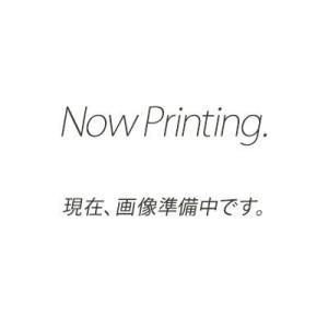 ニデックテクノモータ カーボンブラシ PM-220B・PMA-240他用 79027050 Nide...