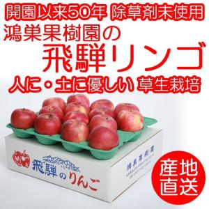 【今シーズン完売】りんご 鴻巣果樹園 岐阜 飛騨りんご詰合せ ジュースお菓子ジャム用