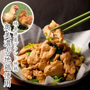 奥美濃古地鶏ケイチャンセット（G-KEI-A2130） 中部食産｜hidamino
