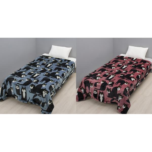 西川 フィンレイソン SPOT THE DOG リバーシブル毛布 シングル FI5651 FQ059...