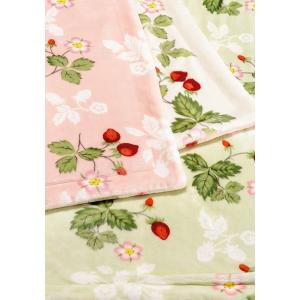 東京西川 WEDGEWOOD/ウェッジウッド わた入り リバーシブル毛布 シングル FQ07805034