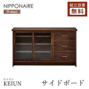 飛騨産業 HIDA SEOTO-EX キャビネット KX561/566B 10年保証付 幅110