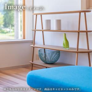 飛騨産業 HIDA cobrina アイランド...の詳細画像5