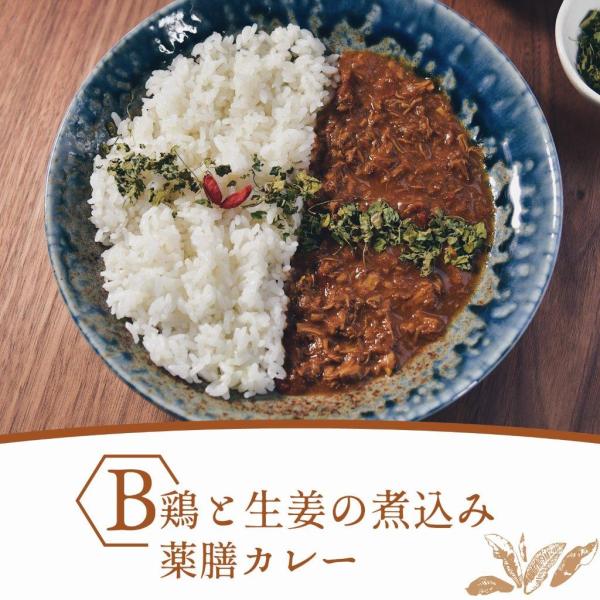 鶏と生姜の煮込み薬膳カレー【冷凍】