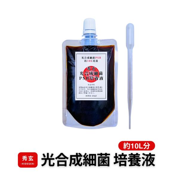 秀玄 光合成細菌 PSB 10リットル培養液(内容量50ml)