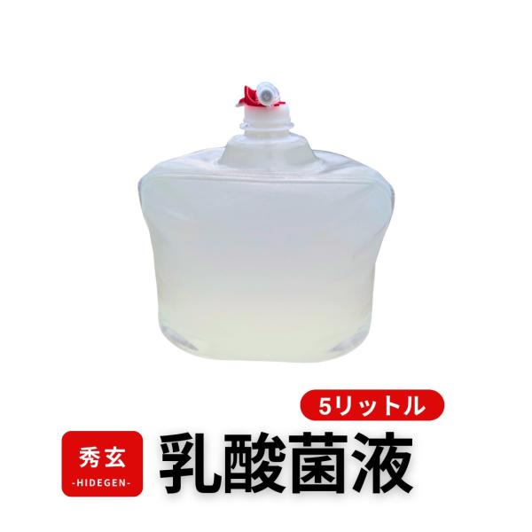 秀玄 乳酸菌 酵母菌 活性液 5リットル