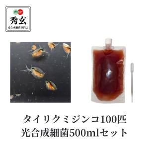 タイリクミジンコ 100匹 光合成細菌500ml スポイトセット メダカや金魚など観賞魚の餌や自由研...