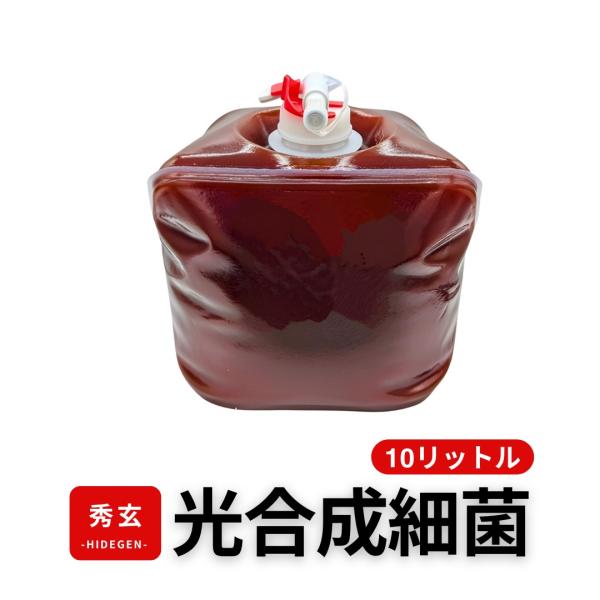 秀玄 光合成細菌 PSB 原液 10リットル