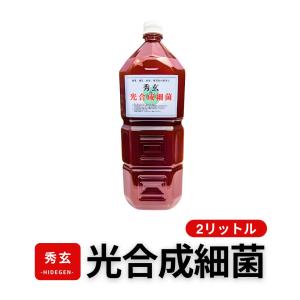 光合成細菌 PSB 原液 2リットル 農業 畜産 ガーデニング メダカ 観賞魚飼育 培養種菌に 【光合成細菌専門店 秀玄】｜光合成細菌PSB専門店 秀玄