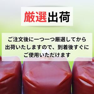 光合成細菌 PSB 原液 18L 業務用 農業...の詳細画像1