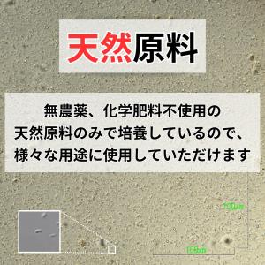 光合成細菌 PSB 原液 18L 業務用 農業...の詳細画像2