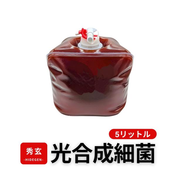 秀玄 光合成細菌 PSB 原液 5リットル