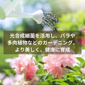 光合成細菌 PSB 原液 700ml メダカ ...の詳細画像4