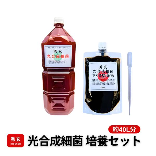 秀玄 光合成細菌 PSB 40リットル培養セット