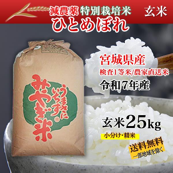 宮城県産 令和7年産 減農薬特別栽培米 ひとめぼれ 玄米 25kg