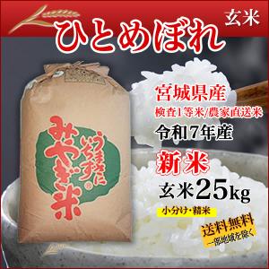 宮城県産 令和5年産 ひとめぼれ 玄米 25kg 新米